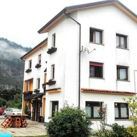 Albergo Alla Pineta Villa Santina Kültér fotó