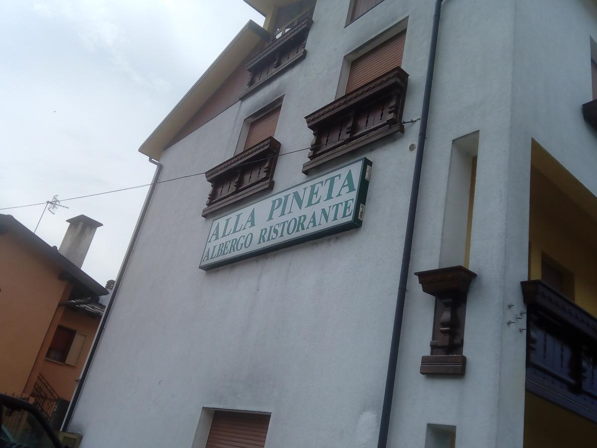 Albergo Alla Pineta Villa Santina Kültér fotó