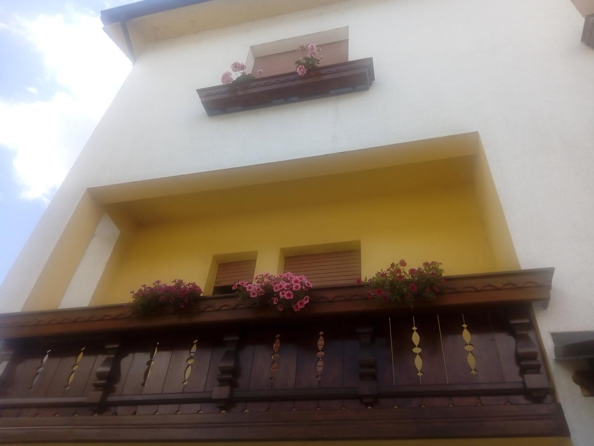 Albergo Alla Pineta Villa Santina Kültér fotó