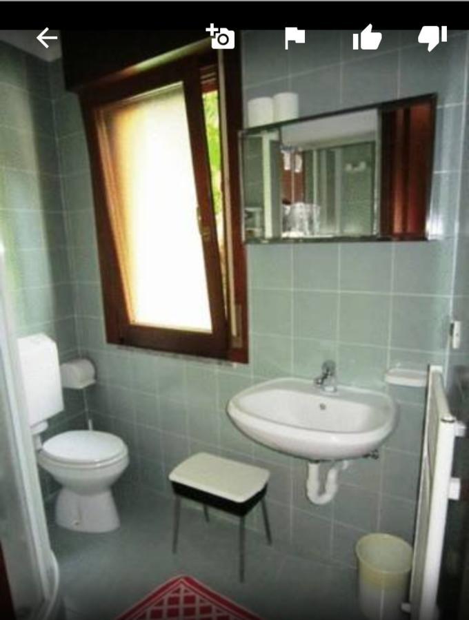 Albergo Alla Pineta Villa Santina Kültér fotó