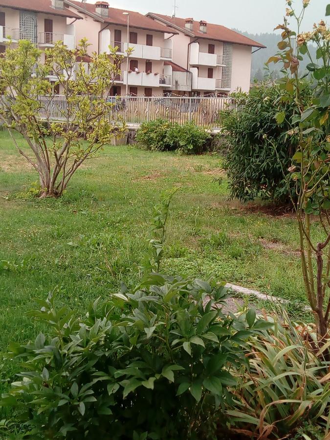 Albergo Alla Pineta Villa Santina Kültér fotó