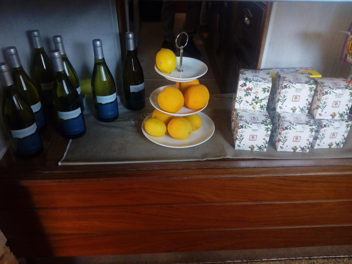 Albergo Alla Pineta Villa Santina Kültér fotó